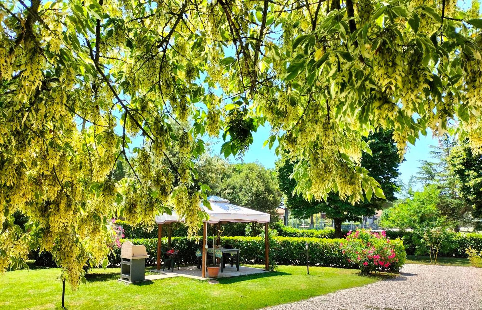 Casa Vacanze Bonardini Castiglione del Lago Eksteriør billede